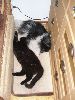 P2150307_.JPG
