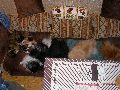 P3140321_.JPG