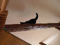 P3210334_.JPG