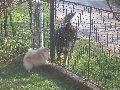 P4120350_.JPG