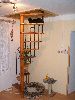 P5060373_.JPG