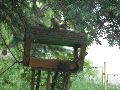 P5160391_.JPG