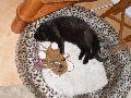 P5160408_.JPG