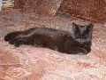 P5230459_.JPG
