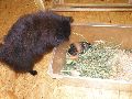 P6280045_.JPG