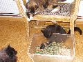 P6280049_.JPG