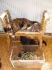 P6280050_.JPG