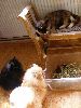P6280053_.JPG