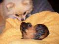 P6300062_.JPG