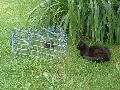 P8030139_.JPG