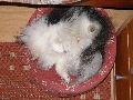 P8060140_.JPG