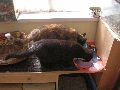 P8100150_.JPG