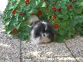 P8150161_.JPG