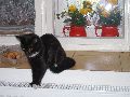 P9190208_.JPG