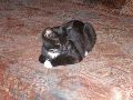 P9190216_.JPG