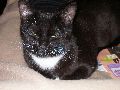 P3100345_.JPG