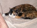 P3100346_.JPG