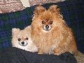 P3130365_.JPG