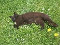 P5010433_.JPG