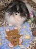 P5230447_.JPG
