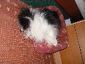 P5280453_.JPG