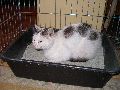 P8010015_.JPG