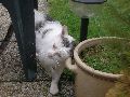 P8080022_.JPG