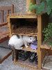 P8090039_.JPG