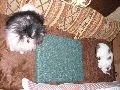 P8170059_.JPG