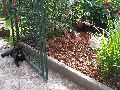 P9120080_.JPG