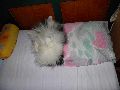 P8220342_.JPG
