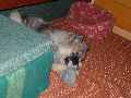 P1010696_.JPG
