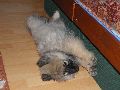 P1040706_.JPG