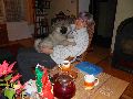P1090723_.JPG