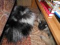 P1110724_.JPG