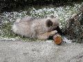 P1140732_.JPG