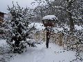 P1190741_.JPG