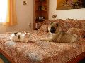 P1260766_.JPG