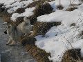 P1290776_.JPG
