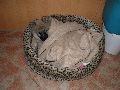 P2110836_.JPG