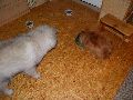 P2180843_.JPG