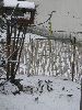 P3080878_.JPG