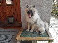 P3100893_.JPG