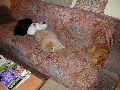 P3170928_.JPG