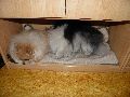 P3240937_.JPG
