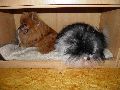 P3240940_.JPG