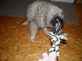 P3310953_.JPG