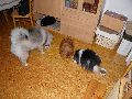 P4031035_.JPG