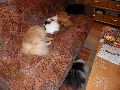 P4031043_.JPG