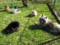 P4091050_.JPG
